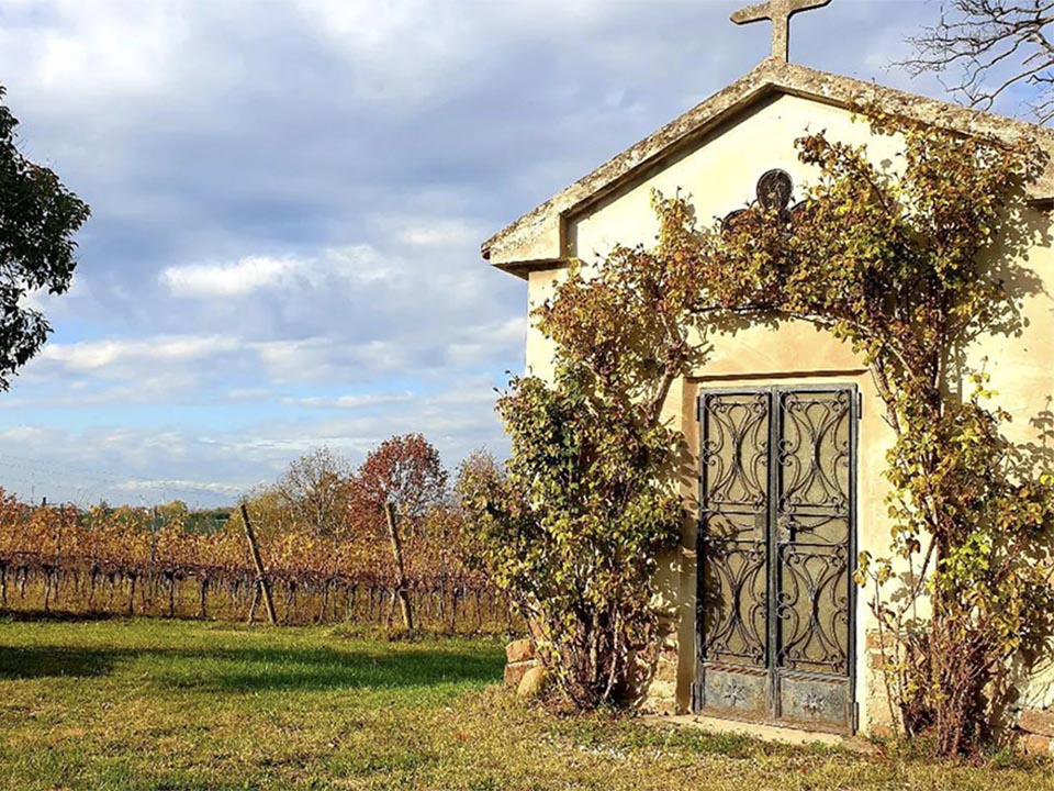 Up to 20% off mixed cases!