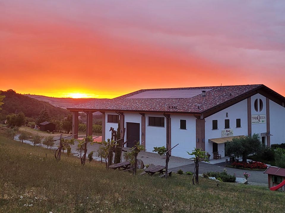 Sign up to our newsletter