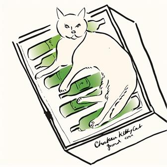 Christmas 2025:A Purrfect Christmas thumbnail 