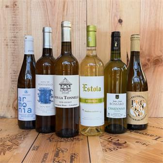 SAVE 10%: Fridge Door Friends thumbnail