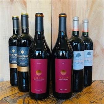 SAVE 10%: Bold is Beautiful: Richer Reds - 6 bottles thumbnail 