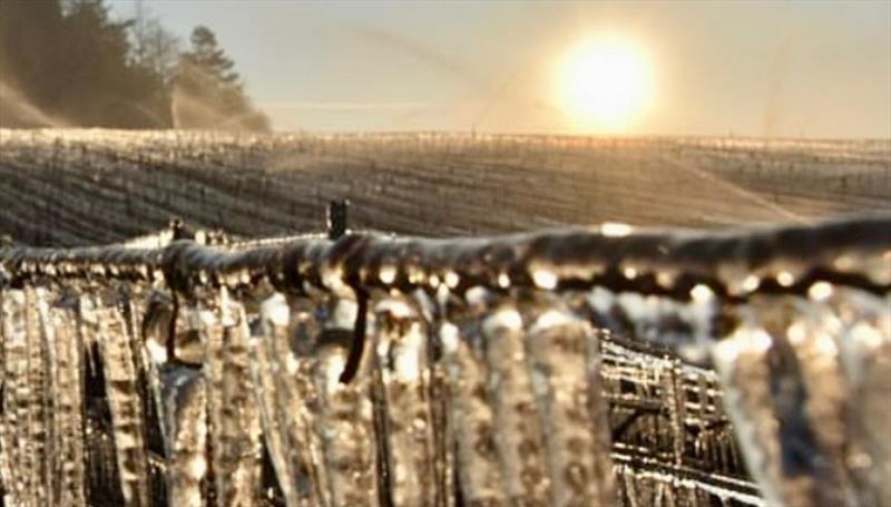 10% Off Six Bottles from Domaine Verret, Chablis Image 1