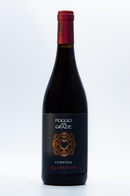 Poggio delle Grazie Corvina Quadrivium 2020 Veneto Italy Image 1