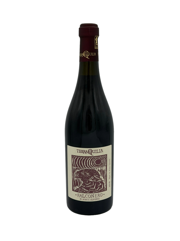 Terraquilia Falconero di Monte Alfonso Lambrusco dell Emilia IGP 2018 ORG Italy Image 1