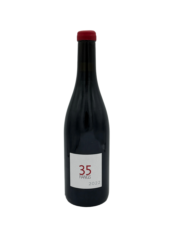 Domaine Philippe Gilbert Menetou Salon Rouge 35 Rangs 2022 Loire ORG Image 1