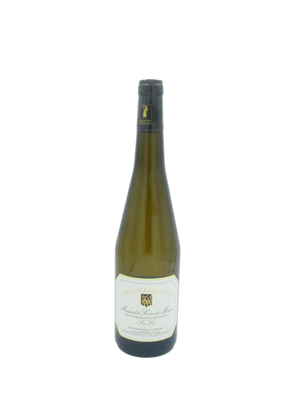 Domaine Basse Ville Muscadet Sevre et Maine sur Lie 2024 Loire France Image 1