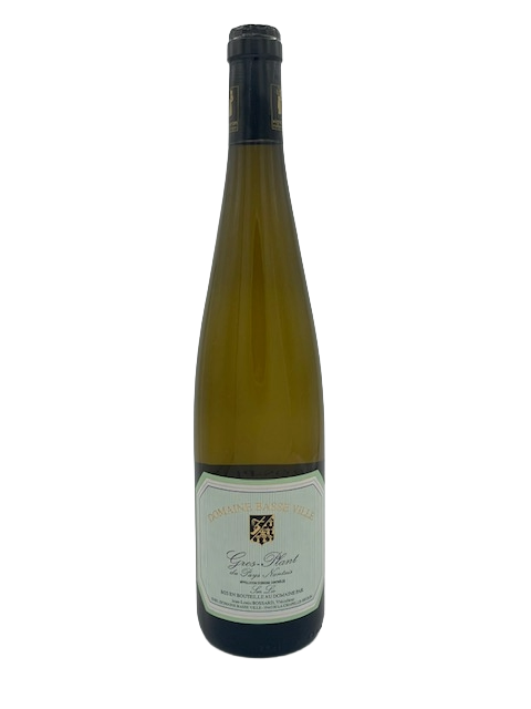 Domaine Basse Ville Gros Plant du Pays Nantais sur Lie 2025 Loire France Image 1