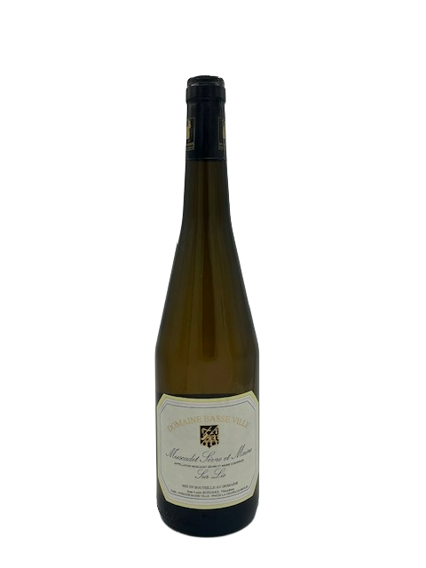 Domaine Basse Ville Muscadet Sevre et Maine sur Lie 2025 Loire France Image 1