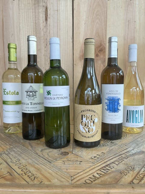 Fridge Door Friends - 6 bottles Image 1